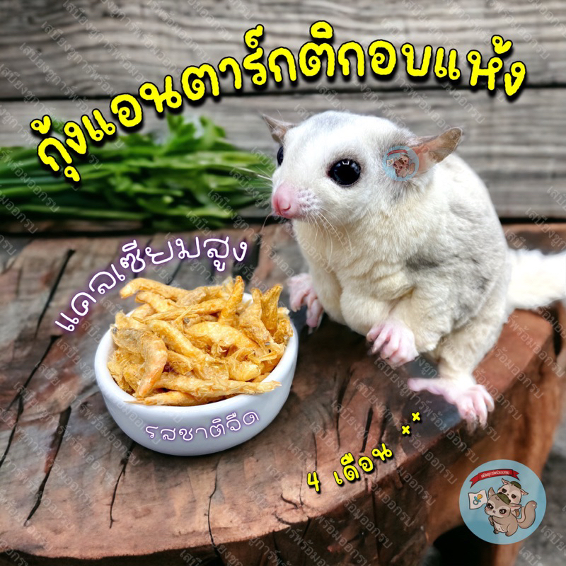 ( กุ้งแอนตาร์กติก ) ANTARTIC KRILL กุ้งแอนตาร์กติกอบแห้ง กุ้งแห้ง กุ้งอบแห้ง อาหารชูการ์ อาหาร ชูการ์ ปลา นก เต่า แฮม
