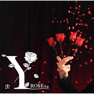 Y-Rose 2.0 Magic Tricks Multiplying Rose By Bond Lee