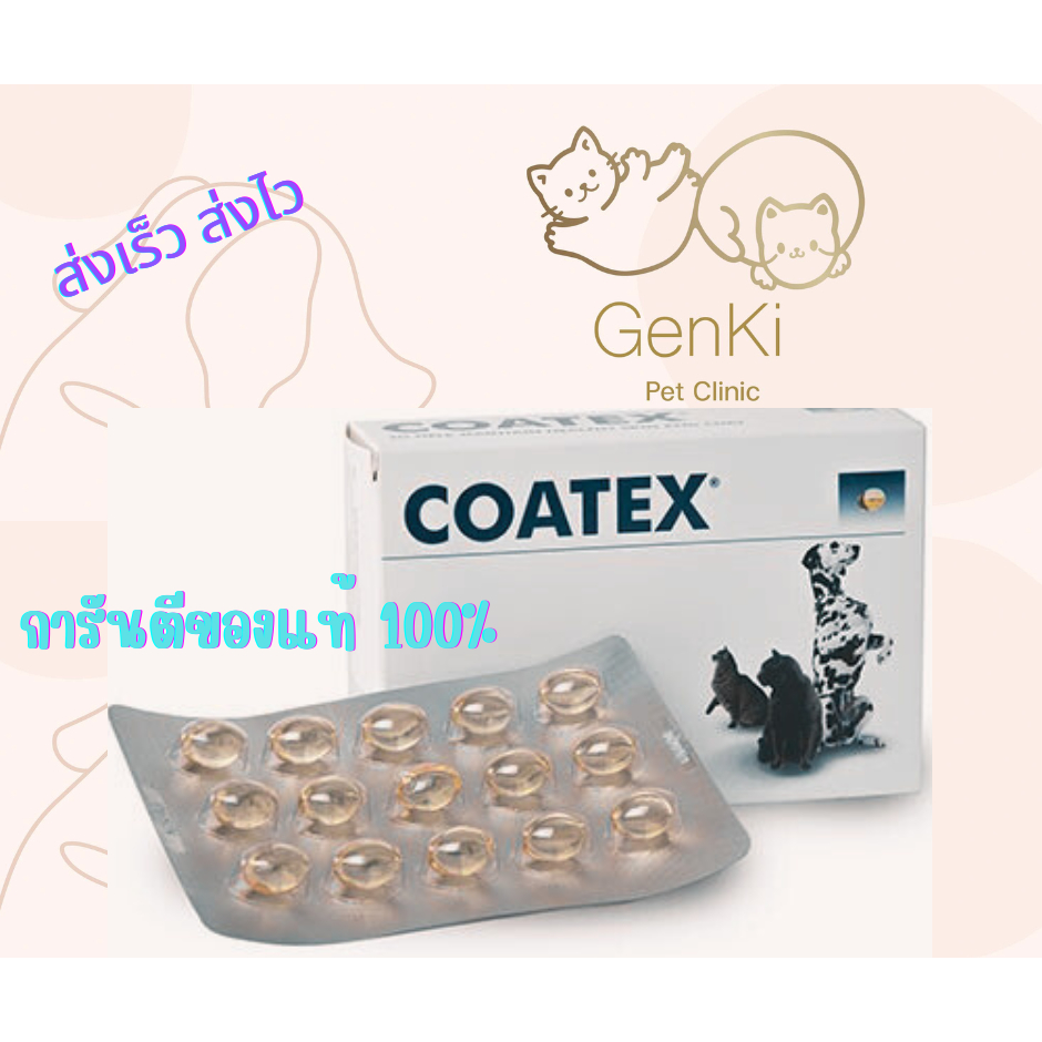 Coatex Dog &amp; Cat วิตามินบำรุงขนและผิวหนัง สำหรับสุนัขและแมว 1 กล่อง = 60 แคปซูล 👉ของแท้ 💯% ✅
