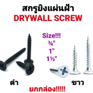 สกรู สกรูไดวอล Screw Drywall สกรูไดวอล์ ไดวอ สกรูดำ สกรูขาว สกรูยิงฝ้า สกรูดำชุบแข็ง สกรูซิงค์ เกลียวปล่อย คุณภาพดี คม