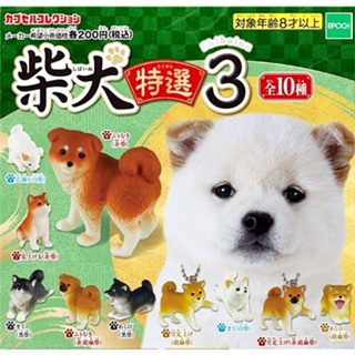 (มีของพร้อมส่ง) Gachapon กาชาปองลูกหมาชิบะขี้อ้อน Shiba Puppy Vol.3 Epoch โมเดลหมา