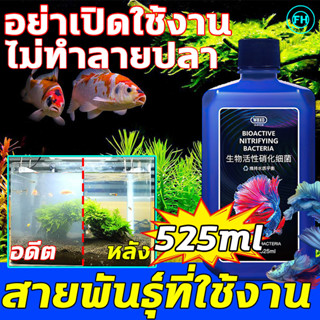 🧜‍♀สายพันธุ์ที่ใช้งาน🧜‍♀HH จุลินทรีย์บ่อปลา ปรับสภาพน้ำใส 525ml ละลายอุจจาระ ปลาจะไม่ตาย เสริมแร่ธาตุและเอนไซม์