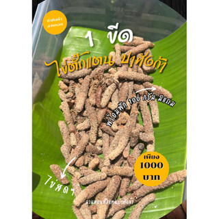 ไข่ตั๊กแตนปาทังก้า 1 ขีด 100 g