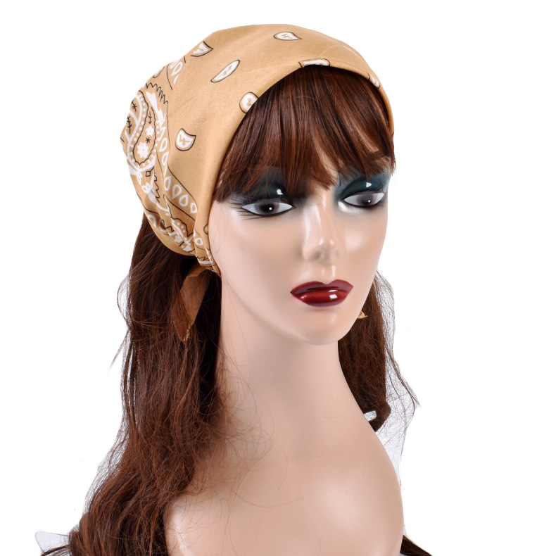 รูปภาพ 5