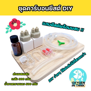 ชุดคาร์บอนยีสต์ DIY ผลิตคาร์บอนไดออกไซด์ (CO2) ช่วยให้พรรณไม้น้ำเติบโตสมบูรณ์ สีสันสวยสุดฟอร์ม