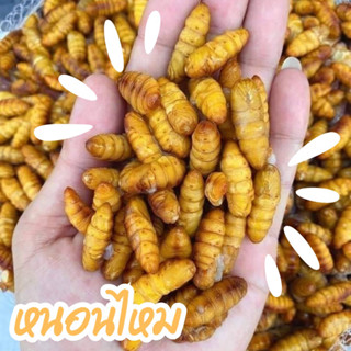 🐛หนอนไหม🐛 หนอน รถด่วน ฟรีส แพ็ค 1000 กรัม ‼️ฟรีโฟม‼️