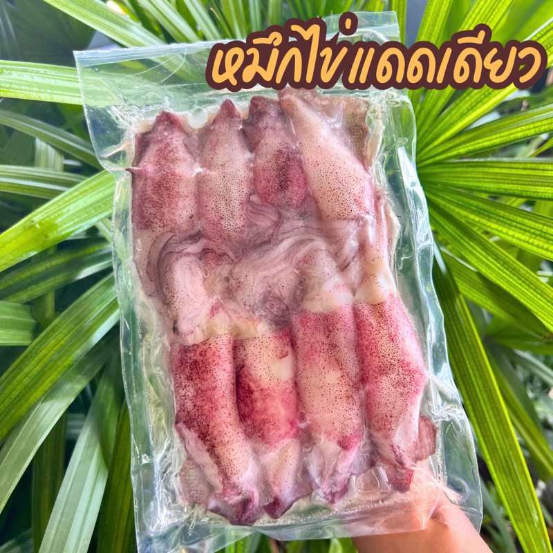 🦑หมึกไข่แดดเดียว🦑 300 กรัม ฟรีโฟม !!! ปลาหมึก หมึกไข่ แดดเดียว ‼️ฟรีโฟม‼️