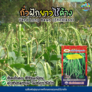 เมล็ดถั่วฝักยาวไร้ค้าง ตราภูเขาทอง ขนาด5กรัม เมล็ดพันธุ์ถั่วฝักยาวไร้ค้าง ถั่วไร้ค้าง ถั่วฝักยาว เมล็ดถั่วฝักยาว