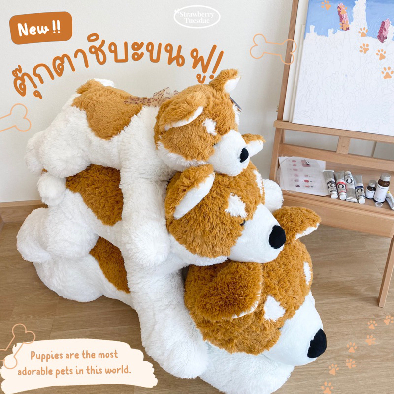 สินค้าใหม่ 🐾ตุ๊กตาหมาชิบะ ตุ๊กตาหมาตัวใหญ่ ตุ๊กตาชิบะ ชิบะขนฟู พร้อมส่งจากโรงงาน ราคาถูกที่สุด‼️ มีเก็บปลายทาง🚚