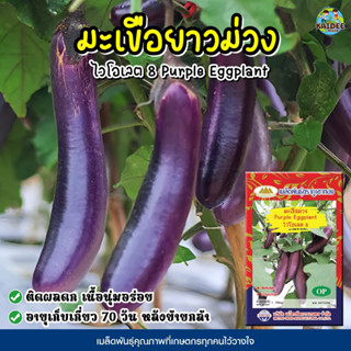 เมล็ดมะเขือยาวม่วง Purple Eggplant ไวโอเลต8 เมล็ดมะเขือยาว เมล็ดมะเขือยาวสีม่วง เมล็ดผักสวนครัว เมล็ดพันธุ์ผัก ตราภูเขาท