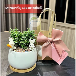 Set ของขวัญ ต้นไม้มงคล เลือกต้นไม้ได้ พร้อมอุปกรณ์ตกแต่ง ได้ครบ Set ตามภาพ #Minimal28