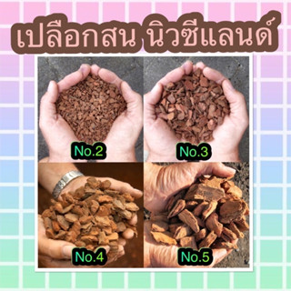 ✅เปลือกสนนิวซีแลนด์(New Zealand Pine Bark)_1ลิตร วัสดุปลูก ไม้ดอก ไม้ประดับ กุหลาบ มอนสเตอล่า