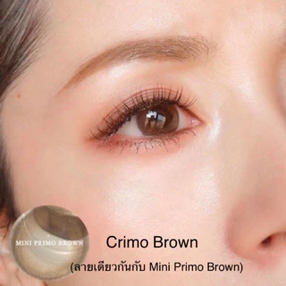 ส่งด่วนทุกวัน‼️คอนแทคเลนส์ รุ่น Crimo (Mini Primo) สี Brown / Gray - Gaezz Secret ขนาดมินิ