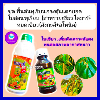 ชุด ฟื้นต้นทุเรียน กระตุ้นการแตกยอดและใบอ่อนทุเรียน สาหร่ายเขียว ไดมาร์ 1L + หยดเขียว สังกะสี+อโทนิค ทนสภาพอากาศหนาว