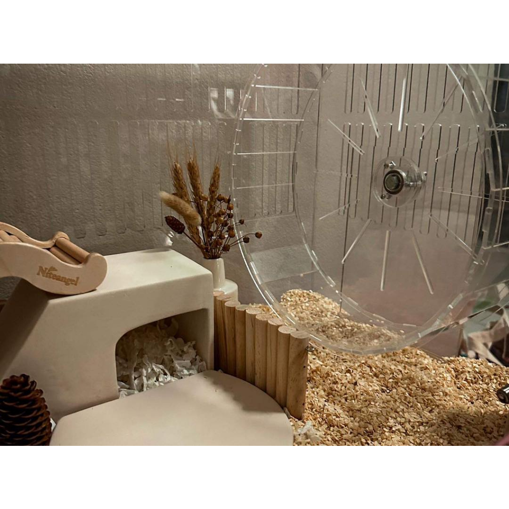 [ChillSpot] Nordic House บ้านหลบเซรามิค ไจแอนท์แฮมสเตอร์ หนูดัมโบ้ ชูการ์ไกลเดอร์ มินิมอล ราคา ถูกที่สุด ดีลบีเคเค แกลเลอรีภาพที่ 7