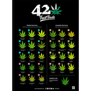 FastBuds Poster Healthy Leaf