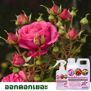 สเปรย์บำรุงกุหลาบ🌹 1 ขวดแถม 1 ลิตร✅