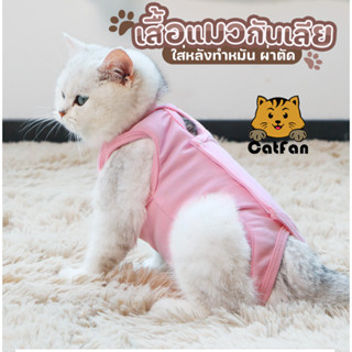 CatFan😺 พร้อมส่งเสื้อแมวใส่หลังผ่าตัด,ทำหมัน กันเลียแผล แบบติดตีนตุ๊กแก