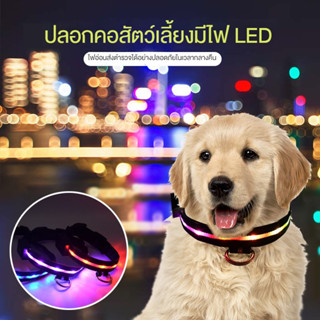 ปลอกคอสัตว์เลี้ยงมีไฟ LED คอลล่าแมว คอลล่าสุนัข ปรับขนาดได้