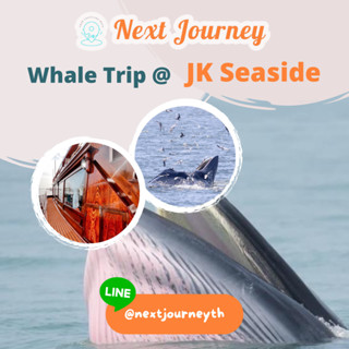 ทริปเที่ยวชมวาฬ – JK Seaside สมุทรสาคร