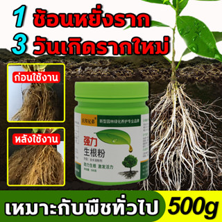 🌿3วันหยั่งราก🌿ผงเร่งรากพืช ยาเร่งราก ผงเร่งราก 500g เร่งดอก เร่งราก น้ำยาเร่งราก ปุ๋ยเร่งราก สารเร่งรากพืช สารเร่งราก