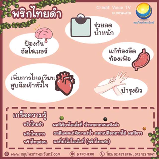 พริกไทยดำแห้ง เกรดA (หัวพริก หนัก ไม่ผสมเปลือก) "คัดมือ ด้วยความใส่ใจ" พริกไทยดำ พริกไทย