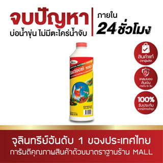 BACTOCEL 5001 300 ml น้ำยาดับกลิ่น รักษาสภาพน้ำ ในบ่อปลา แบคโตเซล ลดแอมโมเนีย ไนไตรท์ไนเตรท