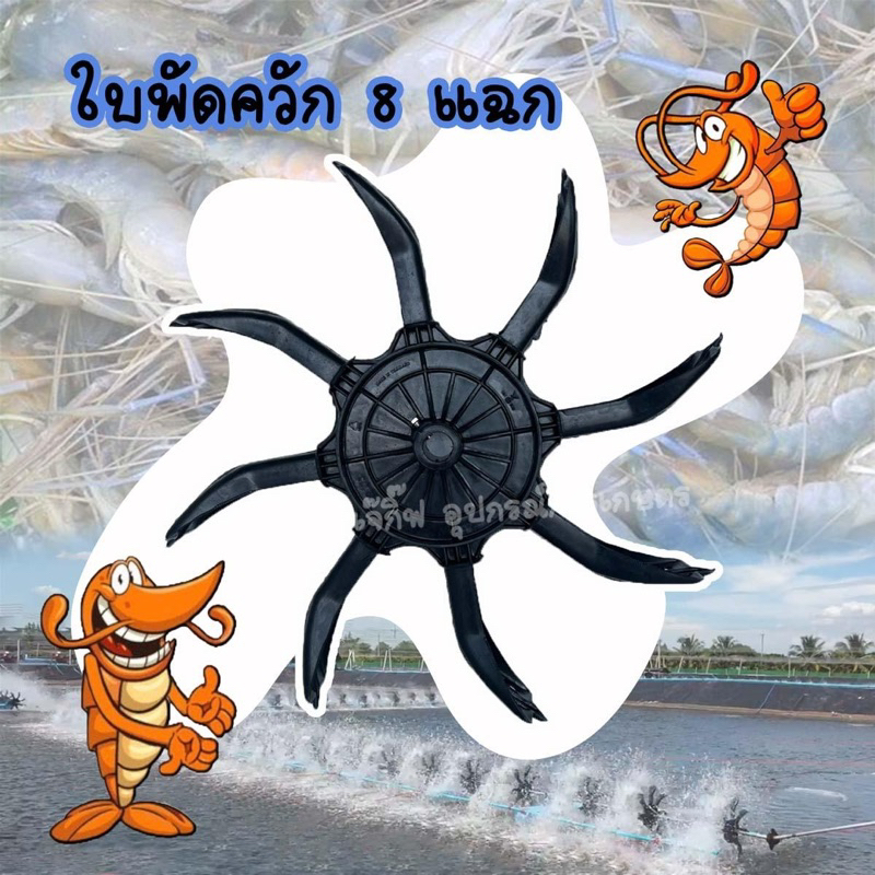 ใบพัดตีน้ำควัก 8 แฉก ใบพัดตีน้ำเติมอากาศ กังหันน้ำ