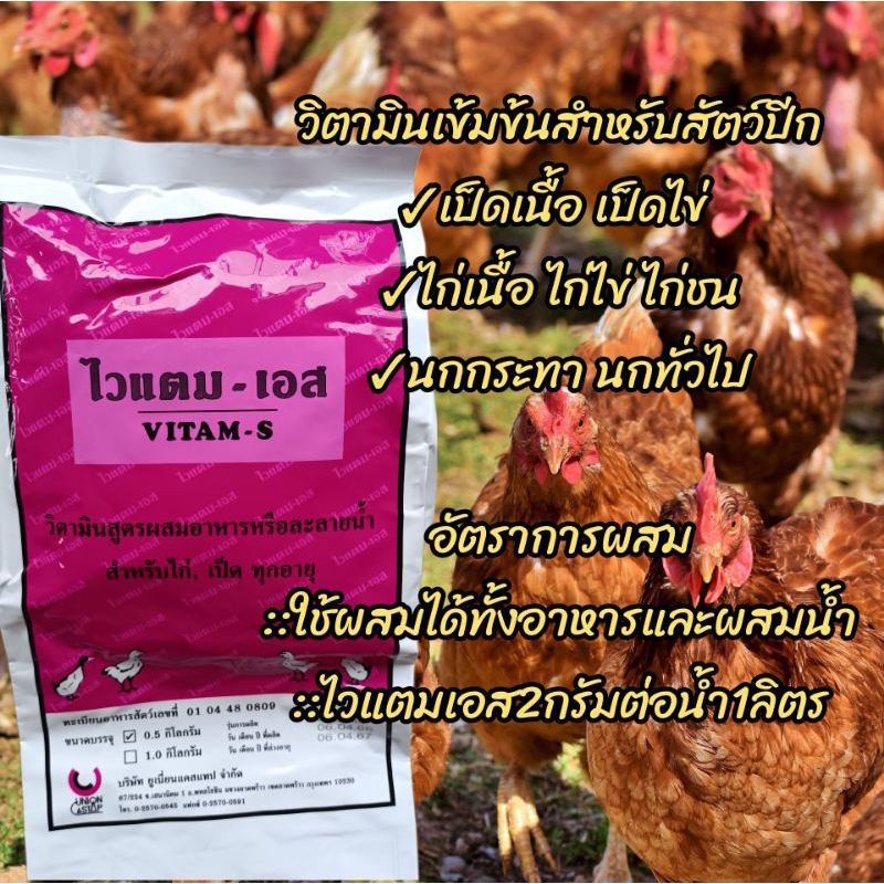 ไวแตมเอส 500g วิตามินไก่ เป็ด บำรุงร่างกาย แก้เครียด