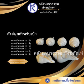 ✨ คลังนานาธรรม สังข์มุกสำหรับเป่า | คลังนานาธรรม สังฆภัณฑ์