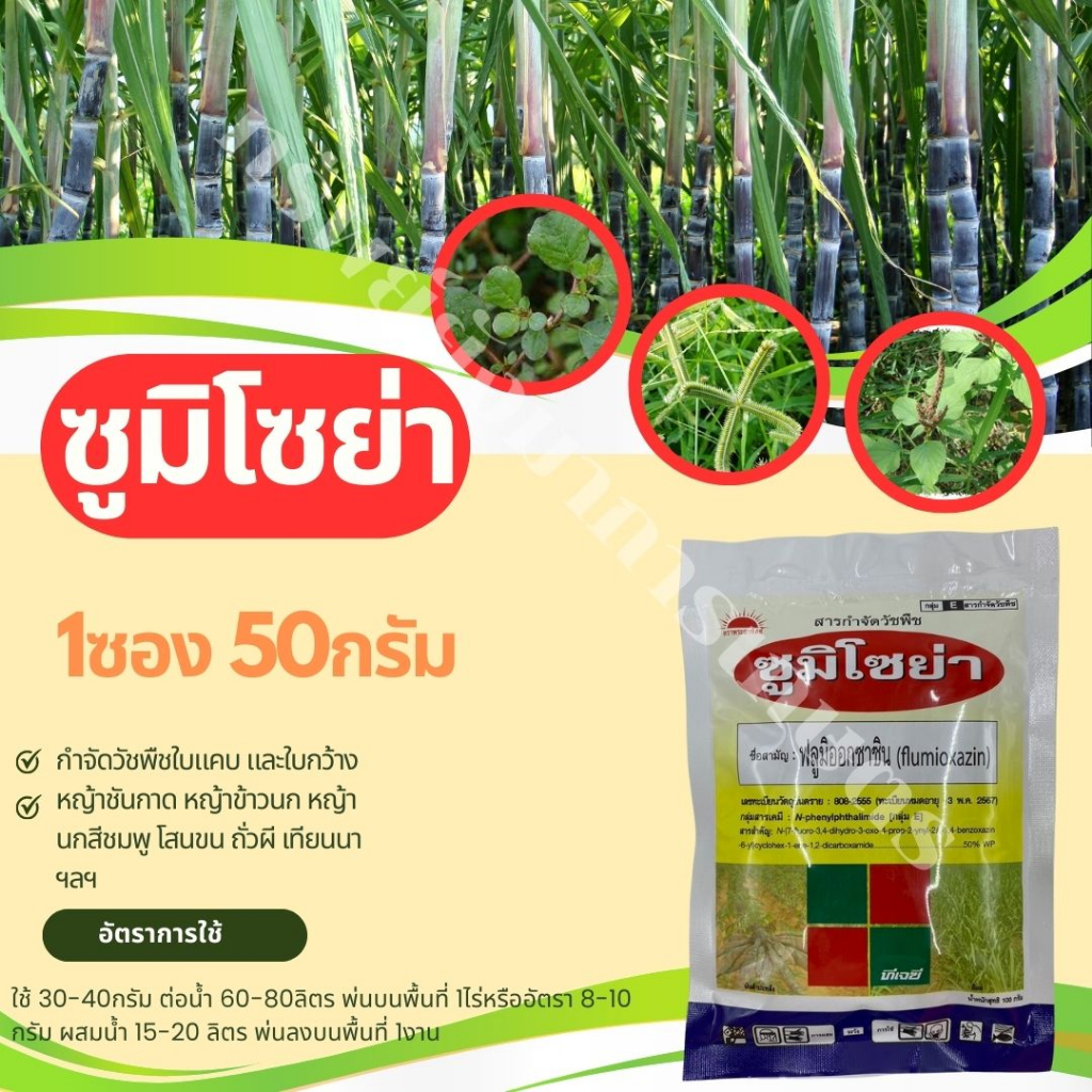 ซูมิโซย่า ฟลูมิออกซาซิน ขนาด 50 กรัม สารกำจัดวัชพืช ยาคุมวัชพืช วัชพืชทั้งประเภทใบแคบและใบกว้าง