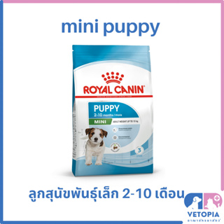 Royal Canin mini puppy 8 kg อาหารลูกสุนัขพันธุ์เล็ก อายุ 2-10 เดือน