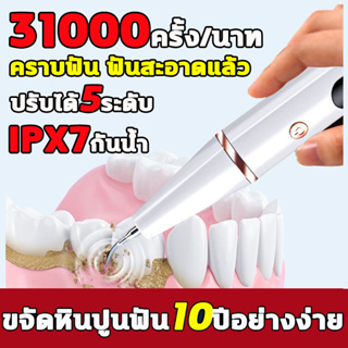 ที่ขูดหินปูน เครื่องขูดหินปูน แปรงฟันและทำความสะอาด2ใน1 31000ครั้ง/นาที การสั่นสะเทือนความถี่สูง ทำความสะอาดล้ำลึก IPX7