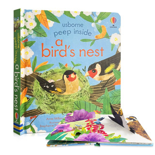 🌟New🌟 Usborne Peep Inside a Birds Nest