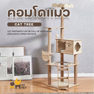 HY PET คอนโดแมว 5 ชั้น มีอุโมงค์  ที่ลับเล็บแมว ที่ฝนเล็บ. สูง 160 ซม. ของเล่นแมว แท่นนอน  #B-A11