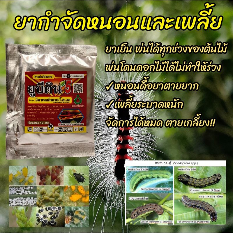 ยูบีติน5(ขนาด10กรัม) ยาฆ่าเพลี้ย ยาฆ่าหนอนทุกชนิด ยากำจัดเพลี้ย ยาฆ่าแมลง