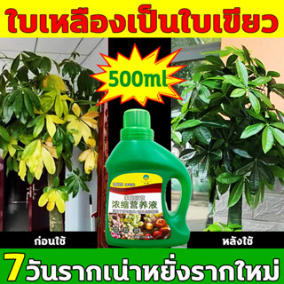 Phytonutrietic Solution 7 วันรากเน่าเร่งรากเร่ง 500ml การรักษาอย่างรวดเร็วสารอาหารสูงเร่งดอกใบเร่งรากไม่เผาสามารถใช้กับพ