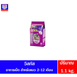 วิสกัส จูเนียร์ รสปลาทู สำหรับแมว อายุ 2-12 เดือน 1.1 กก.