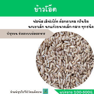 ข้าวโอ๊ต (แบ่งขาย 200-500G.) เป่าฝุ่นแล้วจ้า อาหารเสริมสำหรับสัตว์ฟันแทะ เช่น ชูการ์ไกลเดอร์ แฮมเตอร์ กระรอก และหนูชนิดต