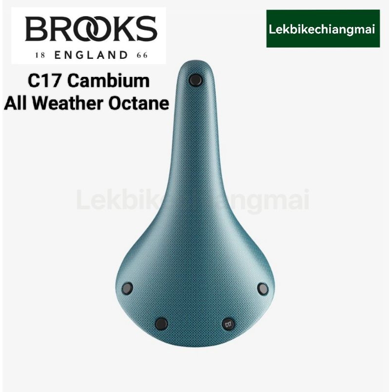 อาน BROOKS Cambium C17 All Weather