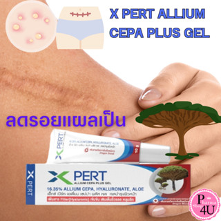 XPERT Allium Cepa Plus Gel 10g ลดรอยแผลเป็น ลดเลือนริ้วรอย [หลอดขาว]#10972