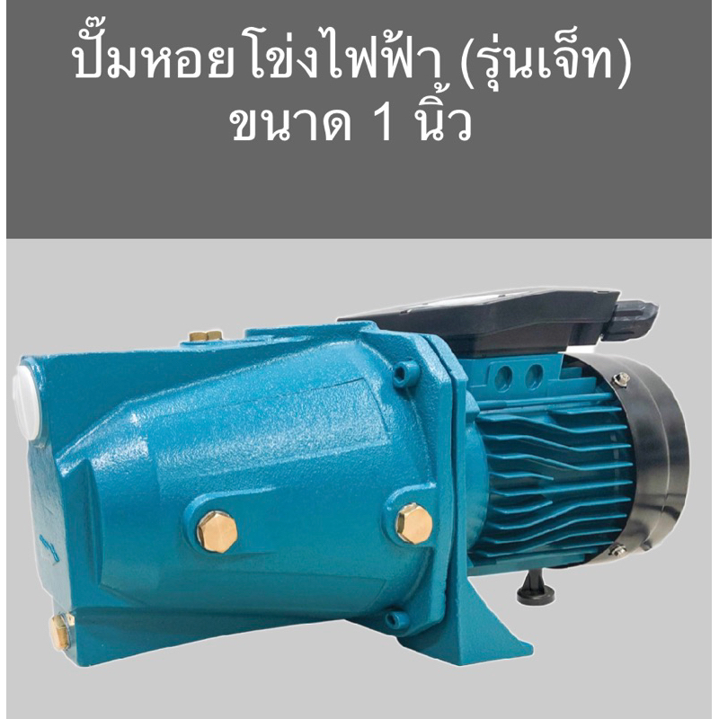 ปั๊มเจ็ทเดี่ยว ดูดลึก เพลาสแตนเลสแท้ ไทสิน/ควายเหล้ก