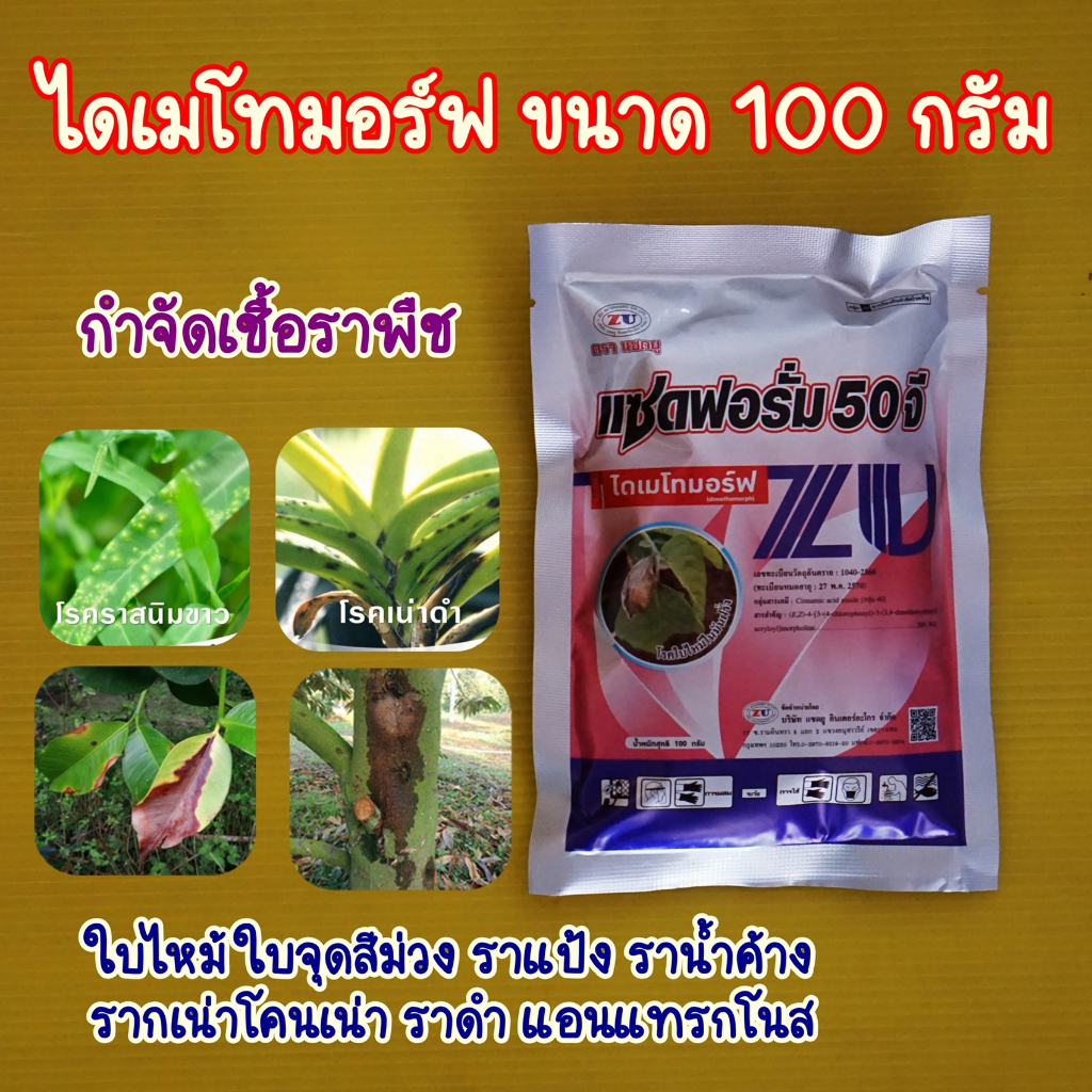 ไดเมโทมอร์ฟ 50 แซดฟอรัม แซดฟอรั่ม ป้องกันกำจัดโรคราน้ำค้าง (100 กรัม) ป้องกันเชื้อรา ราน้ำค้าง แอนแทรคโนส ไฟท๊อปเทอร่า