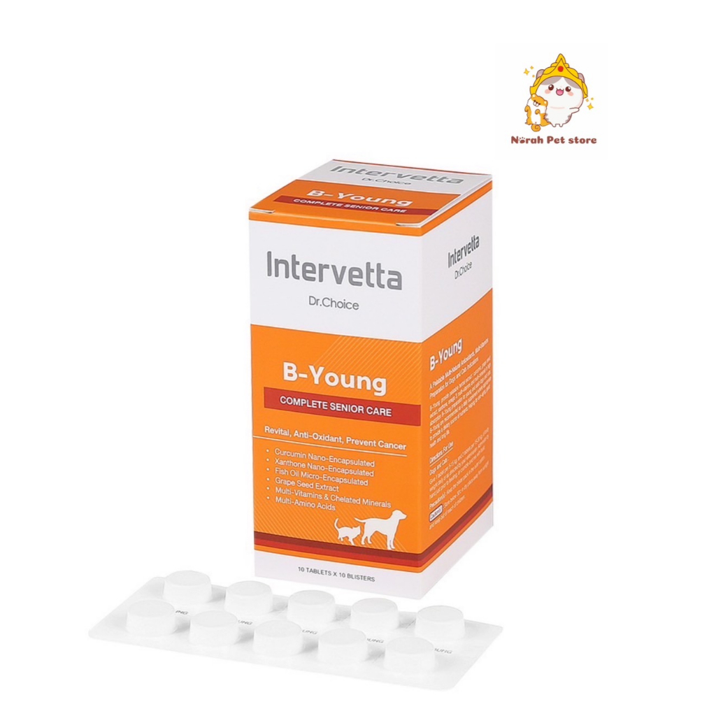 Intervetta Dr.Choice B-Young อาหารเสริม บำรุงระบบประสาท สุนัขสูงวัย แมวสูงวัย (สีส้ม)(100 เม็ด)