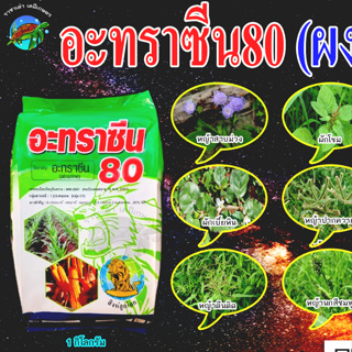 อะทราซีน 80%(ผง)1กิโลกรัม วัชพืชทั้งใบแคบและใบกว้าง หญ้าตีนติด ผักโขม หญ้านกสีชมพู ผักเบี้ยหิน หญ้าตีนติด หญ้าปากควาย