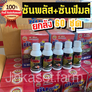 ซันพลัส ซันฟิมล์ ยกลัง 60 ชุด