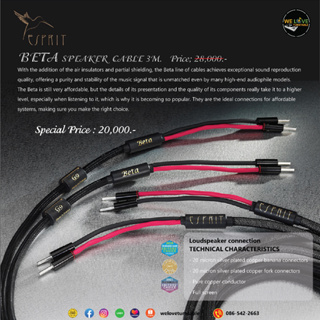 สายลำโพง Esprit Audio Beta Speaker Cable 3M (New)