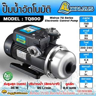 WALRUS ปั๊มน้ำอัตโนมัติ รุ่น TQ800B กำลัง 750วัตต์ ท่อออก 1x1"นิ้ว สูงสุด 35 ม.ปริมานน้ำ 95L/นาที ปั๊มน้ำ ปั๊มบ้าน