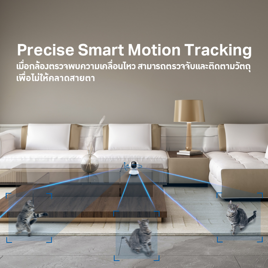 รูปภาพ 7