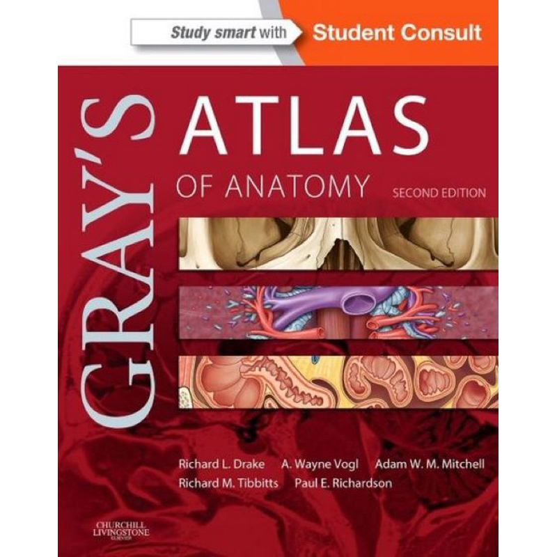 [หนังสือ] Gray's Atlas of Anatomy แพทย์ แพทยศาสตร์ กายวิภาคศาสตร์ grey’s human medicine medical engl